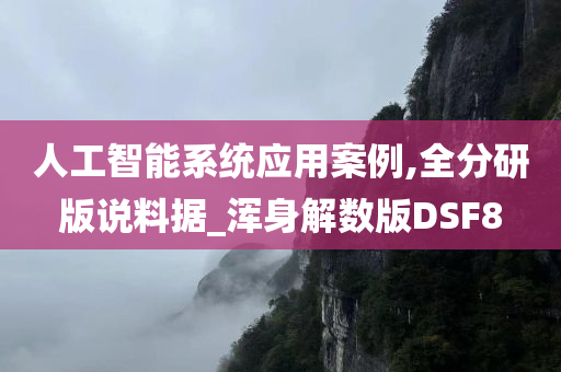 人工智能系统应用案例,全分研版说料据_浑身解数版DSF8