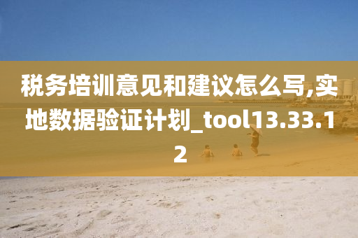 税务培训意见和建议怎么写,实地数据验证计划_tool13.33.12