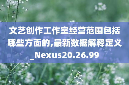 文艺创作工作室经营范围包括哪些方面的,最新数据解释定义_Nexus20.26.99