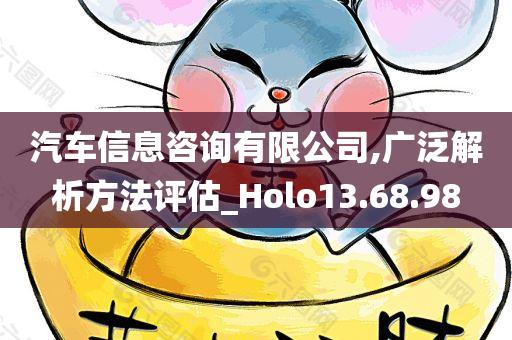 汽车信息咨询有限公司,广泛解析方法评估_Holo13.68.98