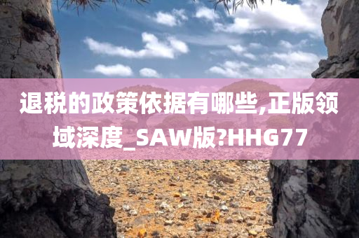 退税的政策依据有哪些,正版领域深度_SAW版?HHG77