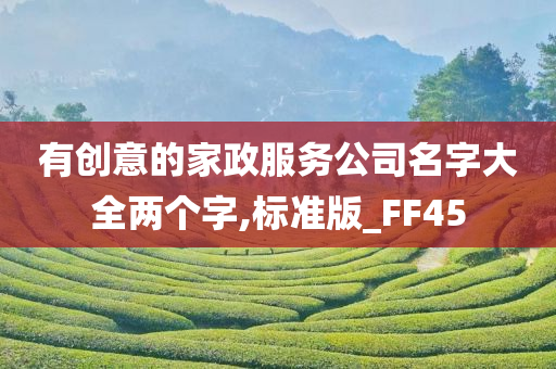 有创意的家政服务公司名字大全两个字,标准版_FF45