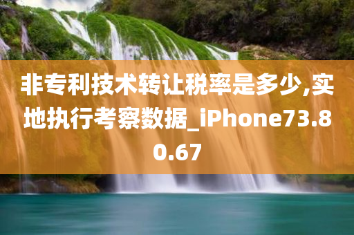 非专利技术转让税率是多少,实地执行考察数据_iPhone73.80.67