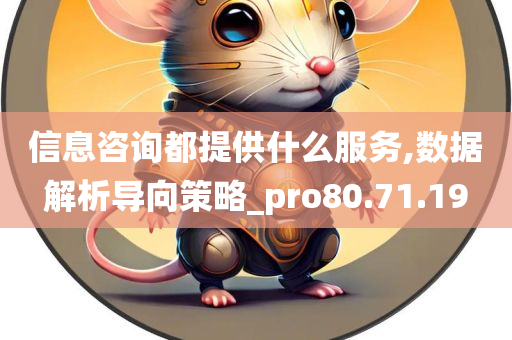 信息咨询都提供什么服务,数据解析导向策略_pro80.71.19