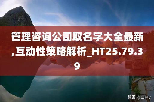 管理咨询公司取名字大全最新,互动性策略解析_HT25.79.39