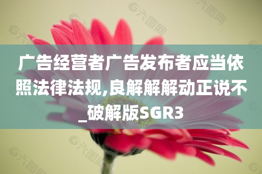 广告经营者广告发布者应当依照法律法规,良解解解动正说不_破解版SGR3