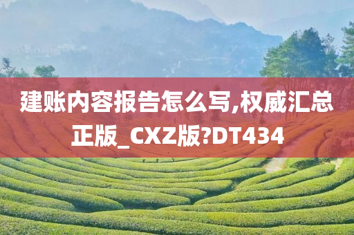 建账内容报告怎么写,权威汇总正版_CXZ版?DT434