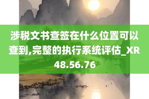 涉税文书查签在什么位置可以查到,完整的执行系统评估_XR48.56.76