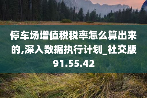 停车场增值税税率怎么算出来的,深入数据执行计划_社交版91.55.42