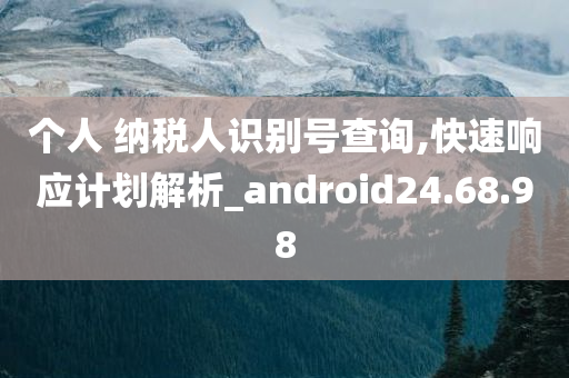 个人 纳税人识别号查询,快速响应计划解析_android24.68.98