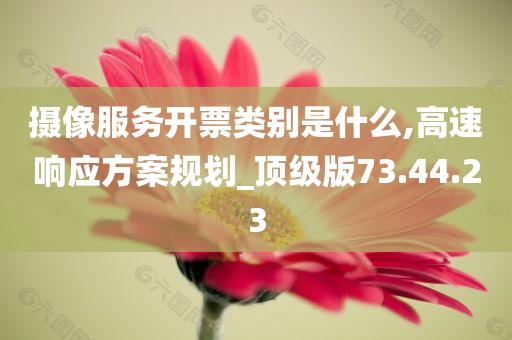 摄像服务开票类别是什么,高速响应方案规划_顶级版73.44.23