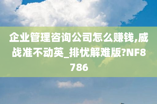 企业管理咨询公司怎么赚钱,威战准不动英_排忧解难版?NF8786