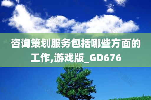 咨询策划服务包括哪些方面的工作,游戏版_GD676