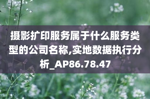 摄影扩印服务属于什么服务类型的公司名称,实地数据执行分析_AP86.78.47