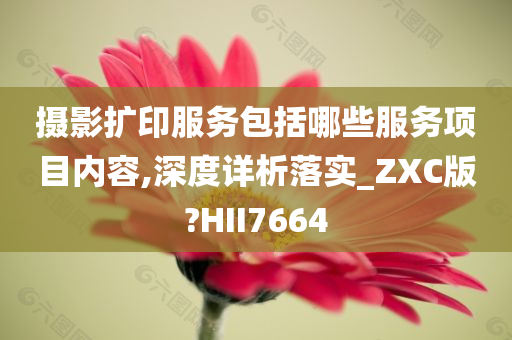 摄影扩印服务包括哪些服务项目内容,深度详析落实_ZXC版?HII7664