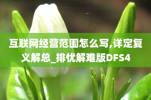 互联网经营范围怎么写,详定复义解总_排忧解难版DFS4