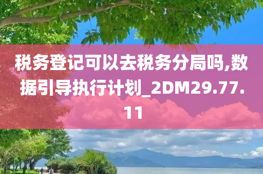 税务登记可以去税务分局吗,数据引导执行计划_2DM29.77.11