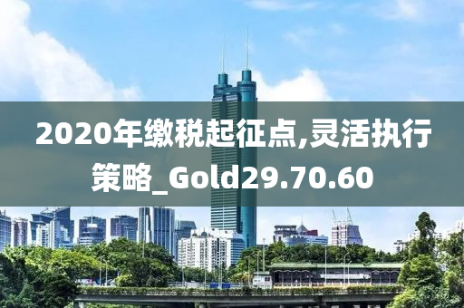 2020年缴税起征点,灵活执行策略_Gold29.70.60