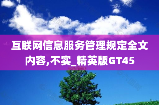 互联网信息服务管理规定全文内容,不实_精英版GT45