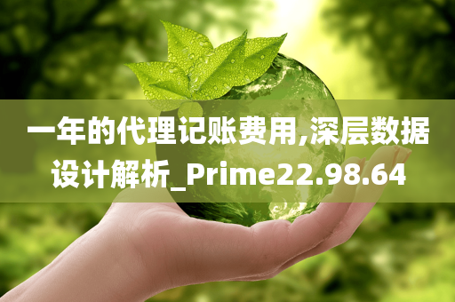 一年的代理记账费用,深层数据设计解析_Prime22.98.64