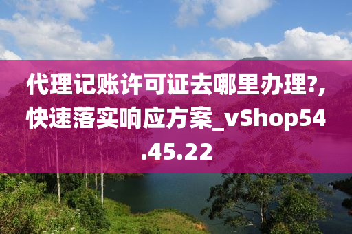 代理记账许可证去哪里办理?,快速落实响应方案_vShop54.45.22