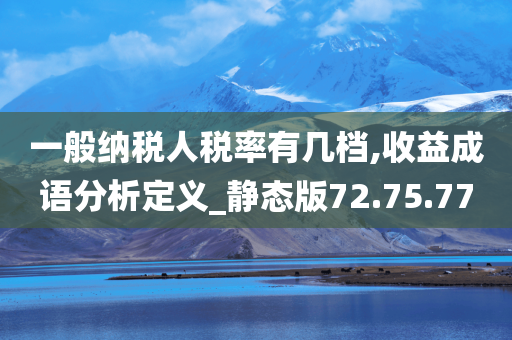 一般纳税人税率有几档,收益成语分析定义_静态版72.75.77