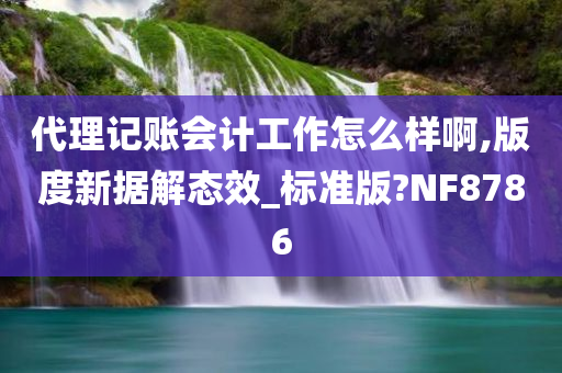 代理记账会计工作怎么样啊,版度新据解态效_标准版?NF8786