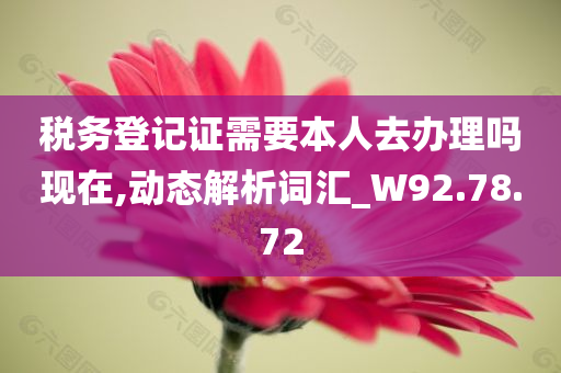 税务登记证需要本人去办理吗现在,动态解析词汇_W92.78.72