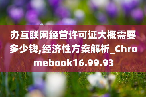 办互联网经营许可证大概需要多少钱,经济性方案解析_Chromebook16.99.93