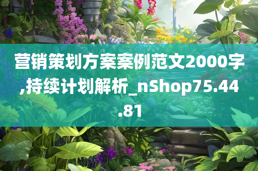 营销策划方案案例范文2000字,持续计划解析_nShop75.44.81