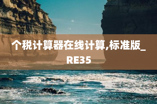 个税计算器在线计算,标准版_RE35