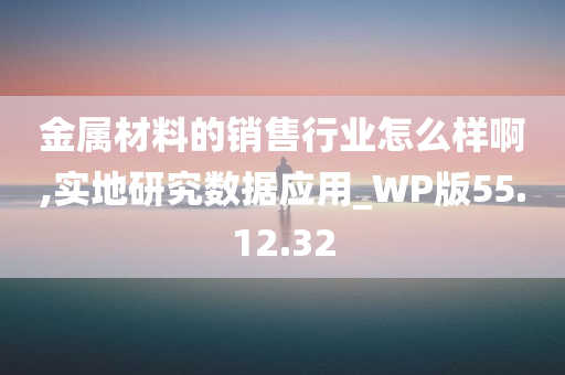 金属材料的销售行业怎么样啊,实地研究数据应用_WP版55.12.32