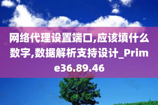 网络代理设置端口,应该填什么数字,数据解析支持设计_Prime36.89.46