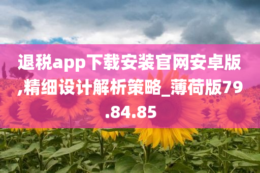 退税app下载安装官网安卓版,精细设计解析策略_薄荷版79.84.85