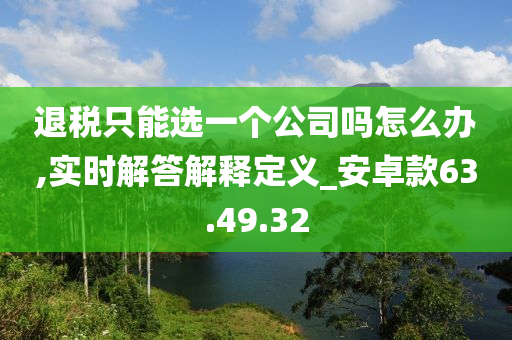 退税只能选一个公司吗怎么办,实时解答解释定义_安卓款63.49.32