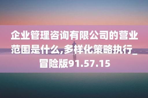 企业管理咨询有限公司的营业范围是什么,多样化策略执行_冒险版91.57.15