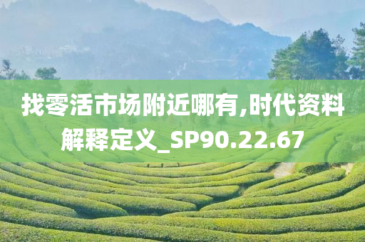 找零活市场附近哪有,时代资料解释定义_SP90.22.67