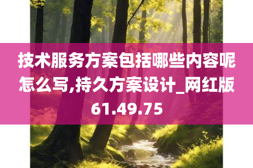 技术服务方案包括哪些内容呢怎么写,持久方案设计_网红版61.49.75