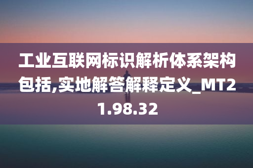 工业互联网标识解析体系架构包括,实地解答解释定义_MT21.98.32