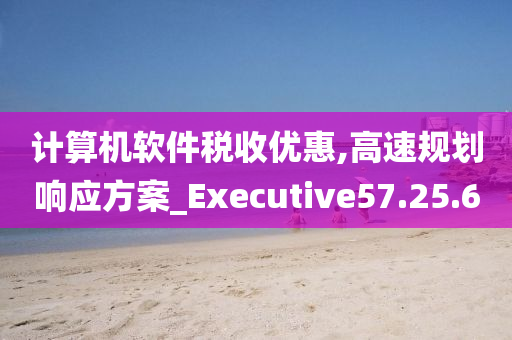 计算机软件税收优惠,高速规划响应方案_Executive57.25.60