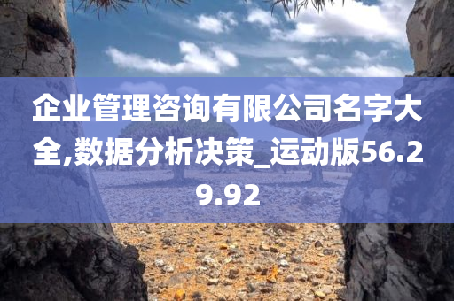 企业管理咨询有限公司名字大全,数据分析决策_运动版56.29.92