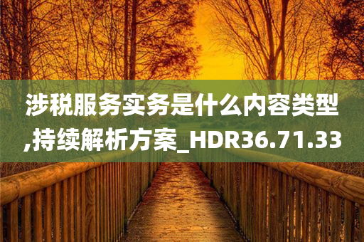 涉税服务实务是什么内容类型,持续解析方案_HDR36.71.33