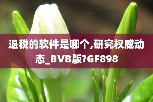 退税的软件是哪个,研究权威动态_BVB版?GF898