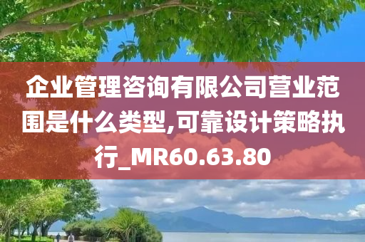 企业管理咨询有限公司营业范围是什么类型,可靠设计策略执行_MR60.63.80