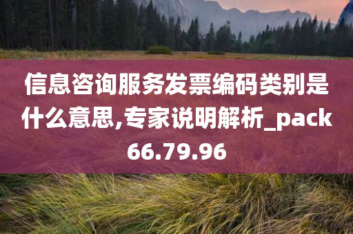 信息咨询服务发票编码类别是什么意思,专家说明解析_pack66.79.96