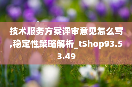 技术服务方案评审意见怎么写,稳定性策略解析_tShop93.53.49