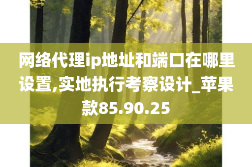 网络代理ip地址和端口在哪里设置,实地执行考察设计_苹果款85.90.25