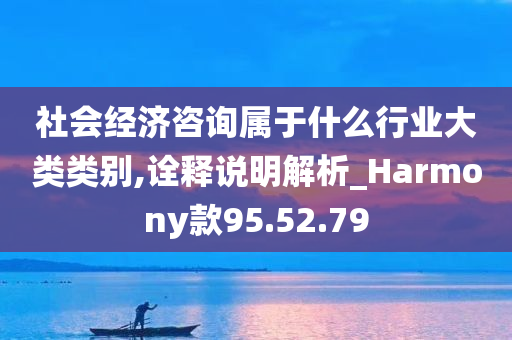 社会经济咨询属于什么行业大类类别,诠释说明解析_Harmony款95.52.79