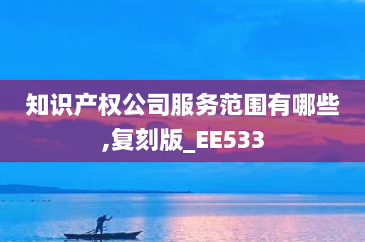 知识产权公司服务范围有哪些,复刻版_EE533