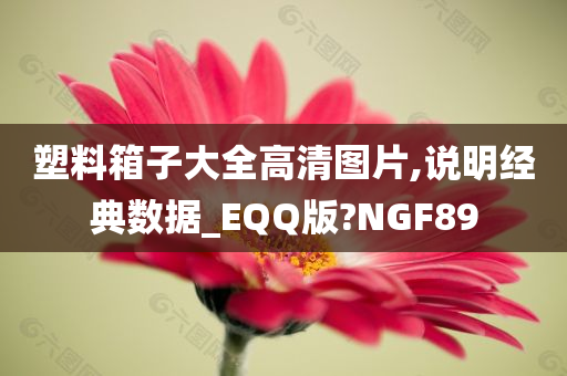 塑料箱子大全高清图片,说明经典数据_EQQ版?NGF89